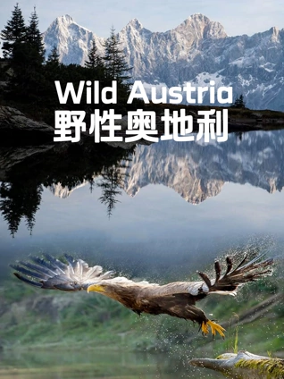 野性奥地利